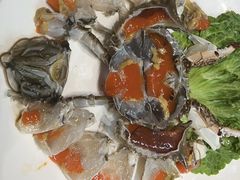 -劲莲舟山海鲜(东书房路店)