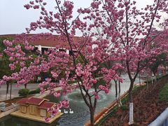 -云南大学滇池学院