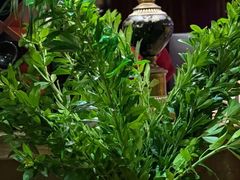 -Olive橄榄花园漂亮饭主题布置餐厅(大望路店)
