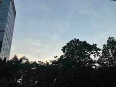 -荔香公园