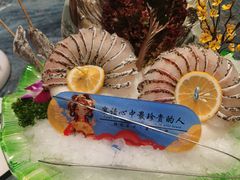 -百草滩羊清水涮羊肉·清真·宁夏盐池滩羊(莲花桥店)