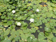 android_upload_pic-青岛国学公园