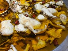 -雲蜀龙阁·金牌水煮鱼(方庄店)