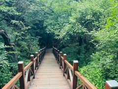-大岭沟猕猴桃谷风景区