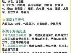 -虎婆冷饮店·海南特色炒冰(三亚湾店)