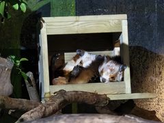 -广州长隆飞鸟乐园