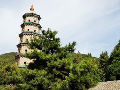 -晋祠公园