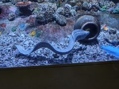 -秦皇岛新澳海底世界