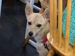 -Egg•Allday Brunch(襄阳北路店)