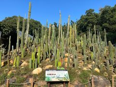 -深圳仙湖植物园