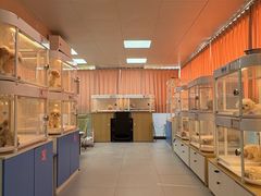 -翊宠yipet猫狗购宠庄园犬舍•猫舍