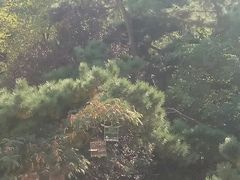 -贮水山儿童公园