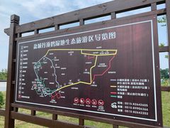 -盐城丹顶鹤湿地生态旅游区
