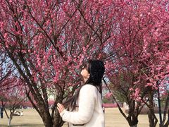 -长广溪湿地公园