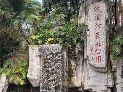 -广州市流溪河国家森林公园