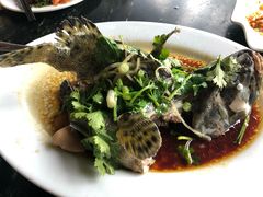 -哈味食店(外伶仃岛店)