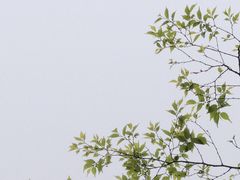 -狐尾山公园