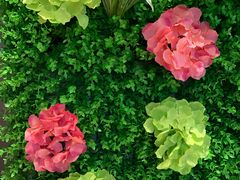 门面-九府羊·鲜羊火锅·烤串(新华路店)