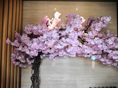 -紫· 割烹  Kappo Murasaki