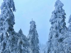 -峨眉山风景名胜区