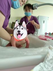 -菁幼月子会所(儿童医院店)