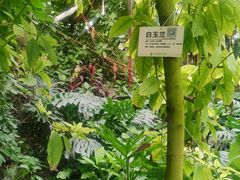 -呀路古热带植物园
