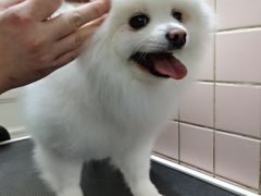 -FAELING PETS美天灵宠物(富力广场店)