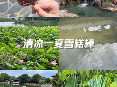 -尚湖风景区