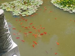 -西宁市人民公园(城西区)