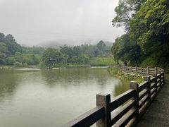 -广州市帽峰山景区