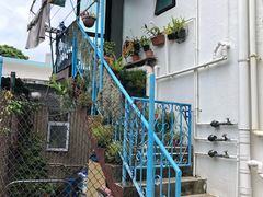 -南丫岛