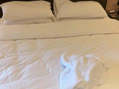 -上海崇明金茂凯悦酒店