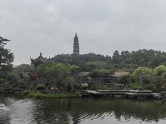 -顺峰山公园