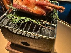 -地球美食剧场