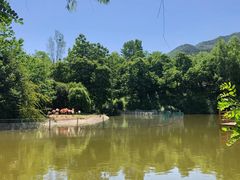 -西安秦岭野生动物园