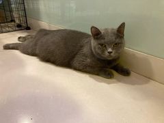 -平行世界·猫咖(首经贸店)