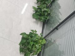 -新航道雅思托福·留学·考研培训(人民广场校区)