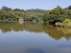 -深圳仙湖植物园