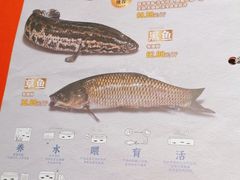 -鱼酷活鱼烤鱼(沈阳大悦城店)