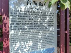 -白草畔自然风景区