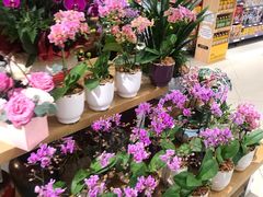 -城市之间超市(圆融星座店)