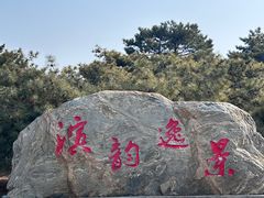 -塘沽森林公园