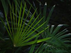 -白鹭湾湿地公园