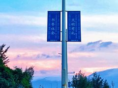 -杨梅坑