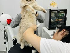 -沐沐家宠物(成寿寺店)