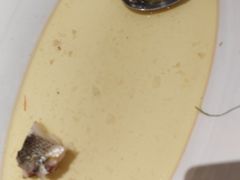 -阿明小菜·海鲜·上海菜(梅陇华理店)