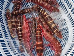 -沙田台山海鲜·酣客酒窖