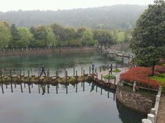 android_upload_pic-旺山景区