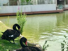 -春晖园度假酒店温泉