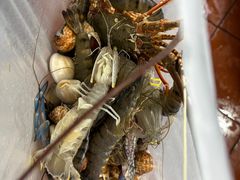 -班赞海鲜市场